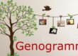 genogramma